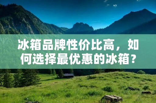 冰箱品牌性价比高，如何选择最优惠的冰箱？