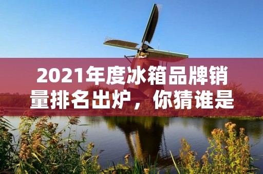 2021年度冰箱品牌销量排名出炉，你猜谁是第一？