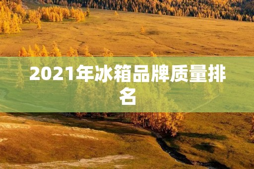 2021年冰箱品牌质量排名