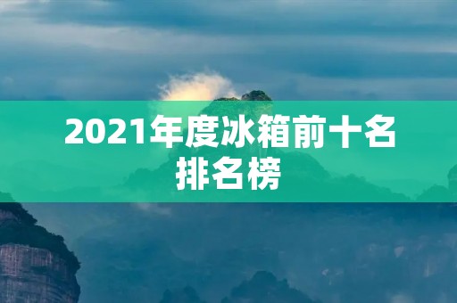 2021年度冰箱前十名排名榜