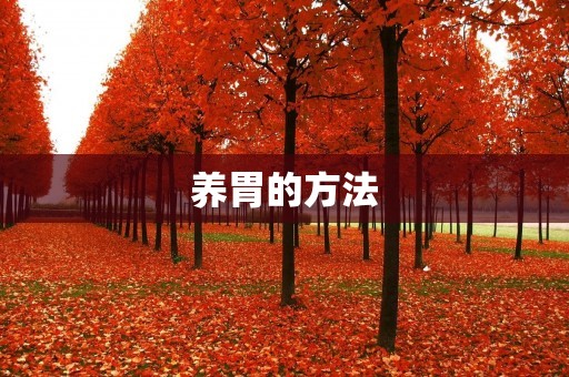 养胃的方法：告别胃痛，享受健康生活