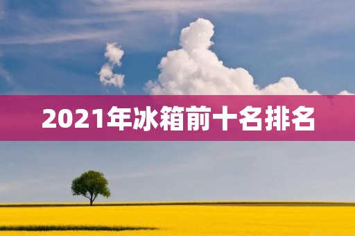 2021年冰箱前十名排名