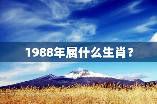1988年属什么生肖?