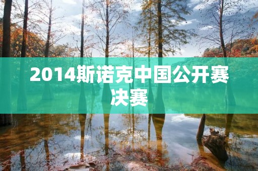 2014斯诺克中国公开赛决赛：奥沙利文夺冠，中国选手闫高阳亚军