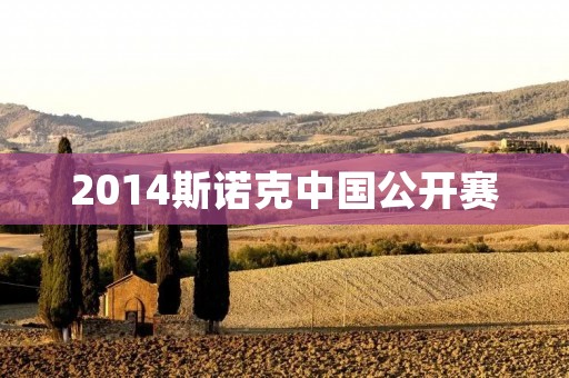 2014斯诺克中国公开赛：克鲁斯夺冠
