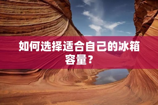 如何选择适合自己的冰箱容量？