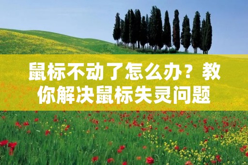 鼠标不动了怎么办?教你解决鼠标失灵问题 鼠标不动了怎么办?教你解决鼠标失灵问题