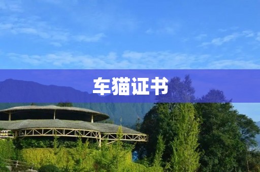 车猫证书:保障车辆安全的新选择 车猫证书:保障车辆安全的新选择