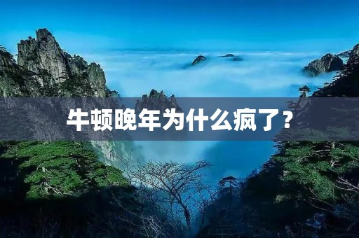 牛顿晚年为什么疯了?