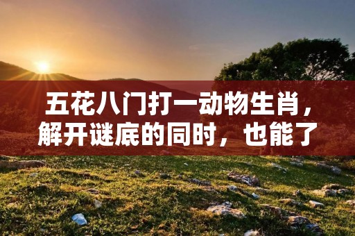 五花八门打一动物生肖,解开谜底的同时,也能了解更多关于中国传统文化的知识。