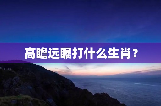 高瞻远瞩打什么生肖?
