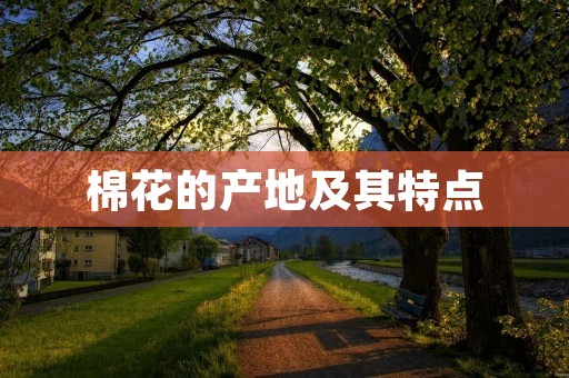棉花的产地及其特点