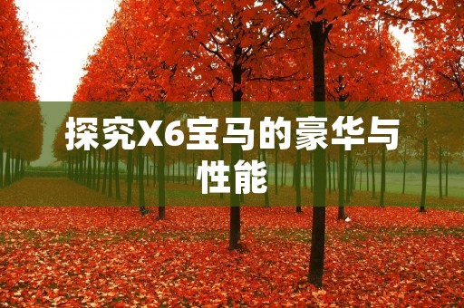 探究X6宝马的豪华与性能 探究X6宝马的豪华与性能