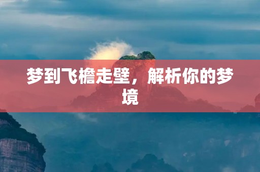 梦到飞檐走壁,解析你的梦境