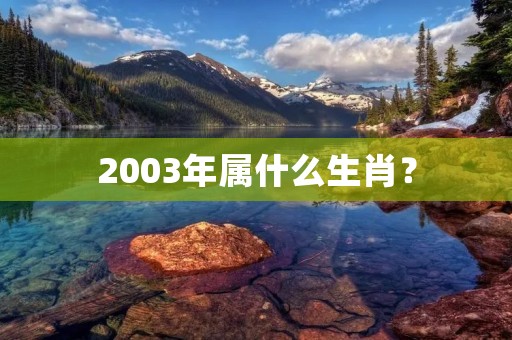 2003年属什么生肖?