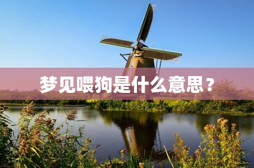 梦见喂狗是什么意思?