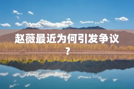 赵薇最近为何引发争议?