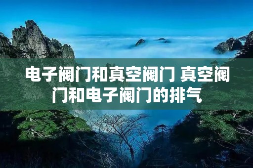 电子阀门和真空阀门 真空阀门和电子阀门的排气