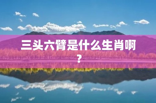 三头六臂是什么生肖啊?