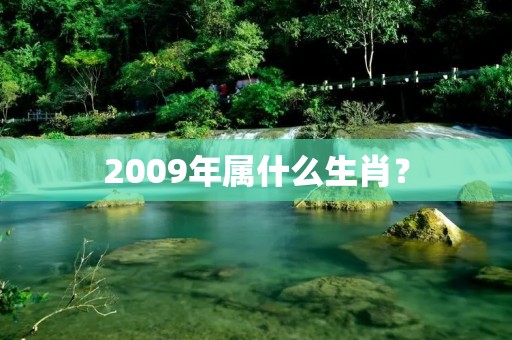 2009年属什么生肖?