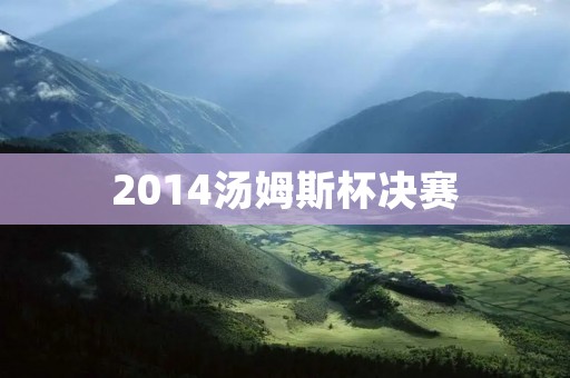 2014汤姆斯杯决赛：中国队夺得历史性第十次冠军