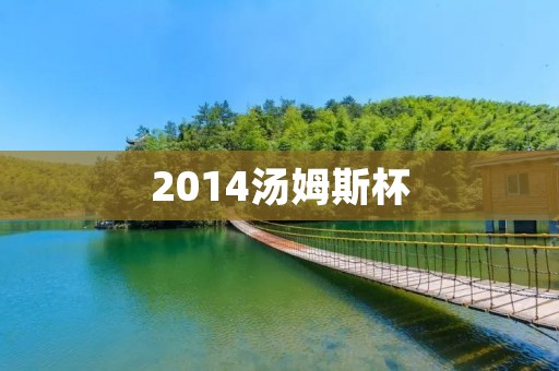 2014汤姆斯杯：中国男羽夺冠，创造历史
