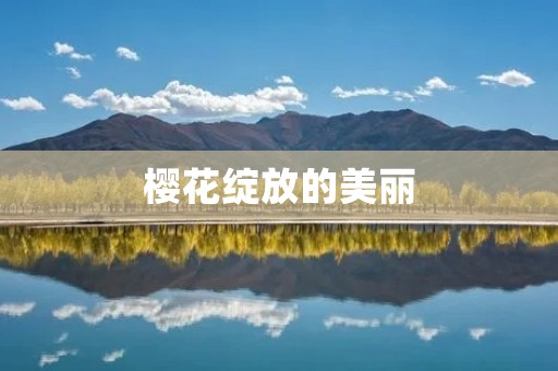 樱花绽放的美丽