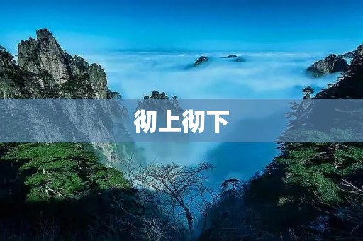 彻上彻下:探讨家居清洁的必要性 彻上彻下:探讨家居清洁的必要性