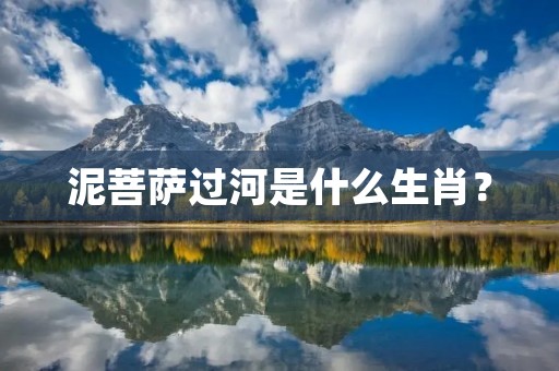 泥菩萨过河是什么生肖？