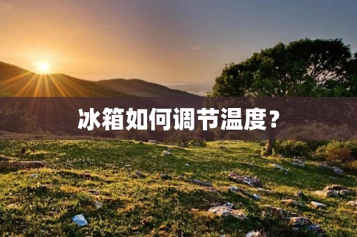 冰箱如何调节温度？