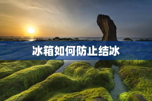 冰箱如何防止结冰