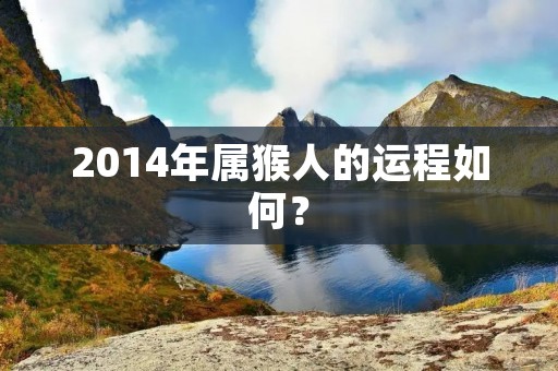 2014年属猴人的运程如何？