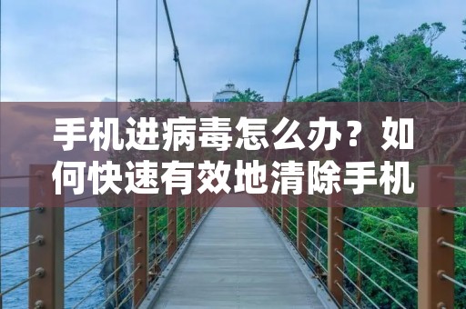 手机进病毒怎么办?如何快速有效地清除手机病毒? 手机进病毒怎么办?如何快速有效地清除手机病毒?