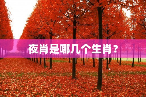 夜肖是哪几个生肖?