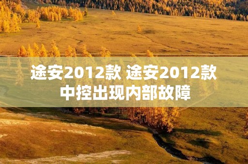 途安2012款 途安2012款中控出现内部故障