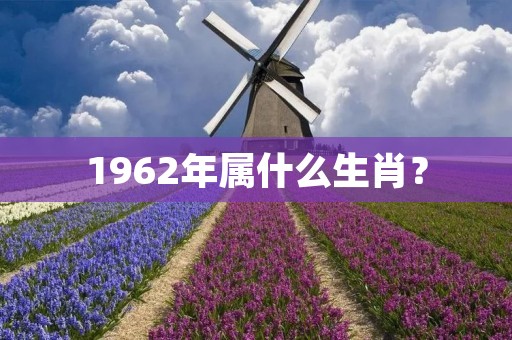 1962年属什么生肖?
