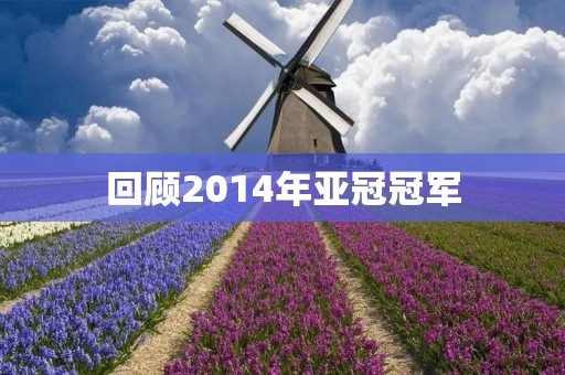 回顾2014年亚冠冠军:墨尔本胜利 回顾2014年亚冠冠军:墨尔本胜利
