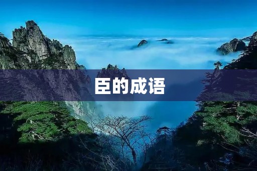 臣的成语