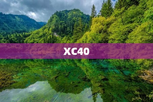 XC40:沃尔沃新一代紧凑型SUV XC40:沃尔沃新一代紧凑型SUV
