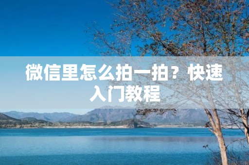 微信里怎么拍一拍?快速入门教程 微信里怎么拍一拍?快速入门教程