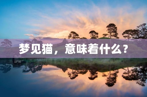 梦见猫,意味着什么?