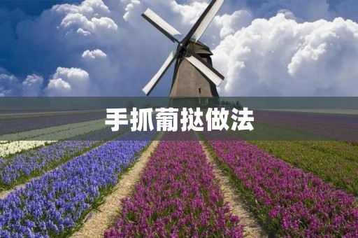 手抓葡挞做法 手抓葡挞做法