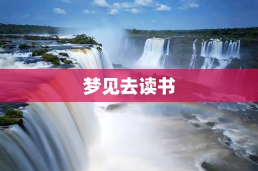 梦见去读书