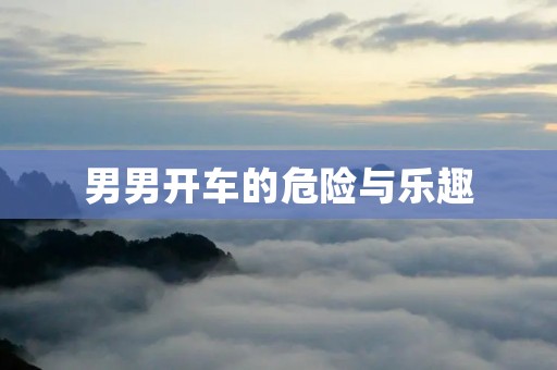 男男开车的危险与乐趣