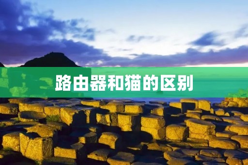 路由器和猫的区别 路由器和猫的区别