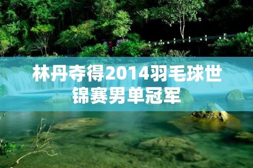 林丹夺得2014羽毛球世锦赛男单冠军 林丹夺得2014羽毛球世锦赛男单冠军