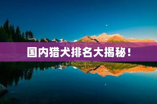 国内猎犬排名大揭秘!