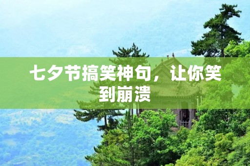 七夕节搞笑神句,让你笑到崩溃