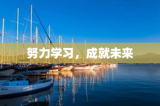 努力学习,成就未来