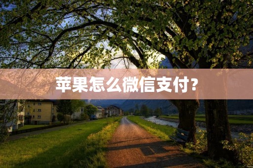 苹果怎么微信支付? 苹果怎么微信支付?